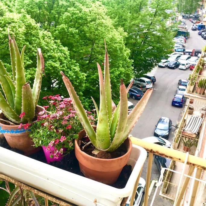 Apartamento La Tua Casa Romana Roma